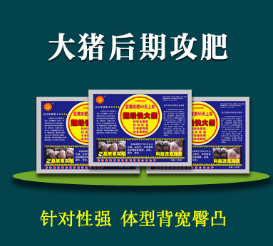 超級快大素 大豬催肥