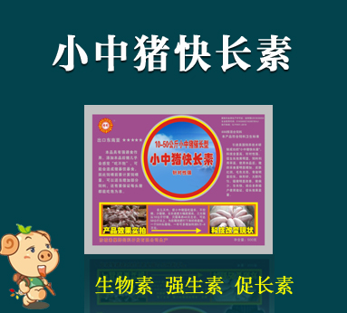 小中豬快長素